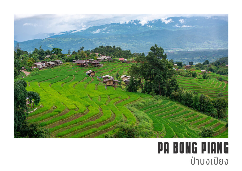 นาขั้นบันได บ้านป่าปงเปียง Pa Bong Piang 19 20 1 Pa Bong Piang บ้านป่าบงเปียง แม่แจ่ม
