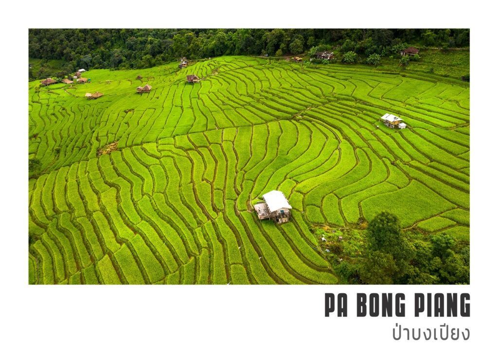 20 2 Pa Bong Piang บ้านป่าบงเปียง แม่แจ่ม