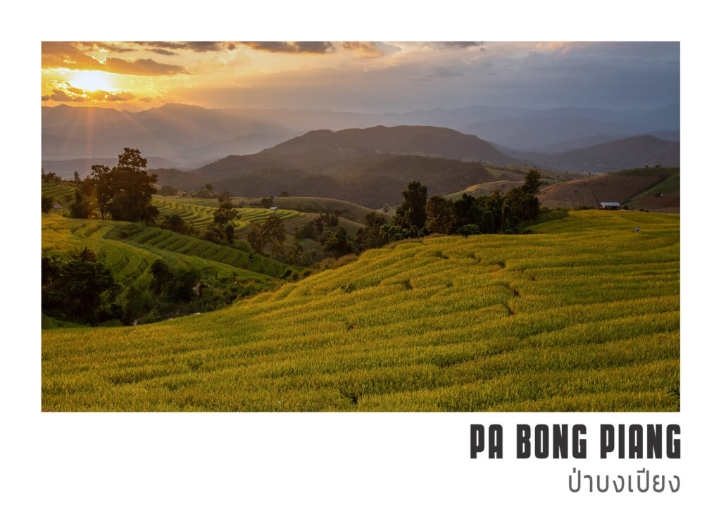 20 4 Pa Bong Piang บ้านป่าบงเปียง แม่แจ่ม