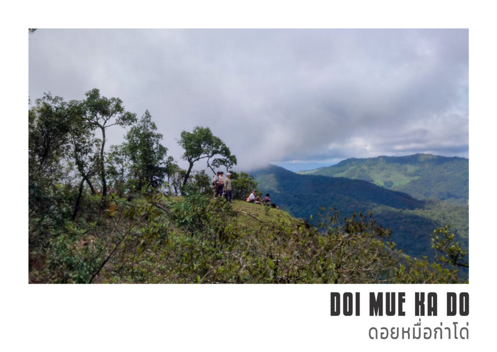 ดอยหมื่อกาโด่ แม่แจ่ม Doi Mue ka do 17 1 Doi Mue ka do ดอยหมื่อกาโด่ แม่แจ่ม