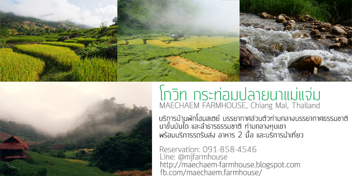 326262134 469602375205254 6221002398113810816 n