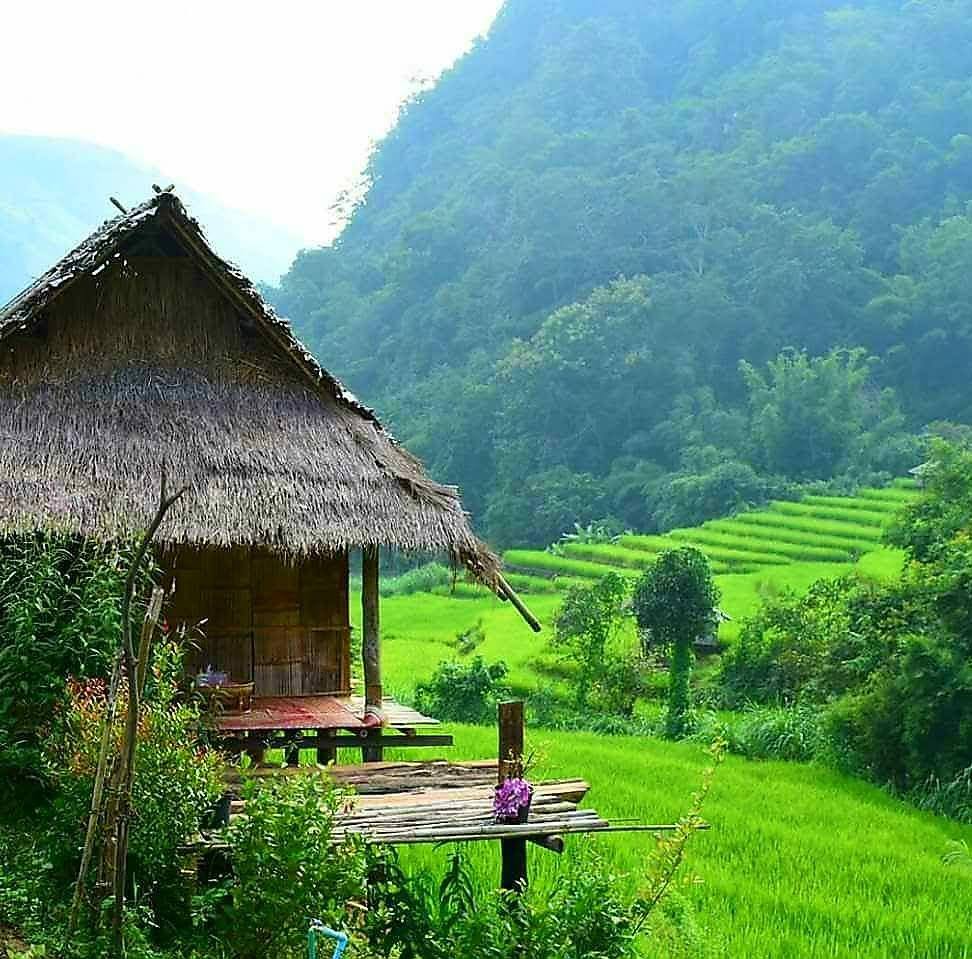 326323365 714995310118042 5477350725598696796 n