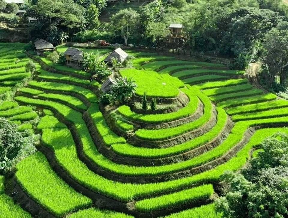 440403489 854004403437260 7095170842179869896 n