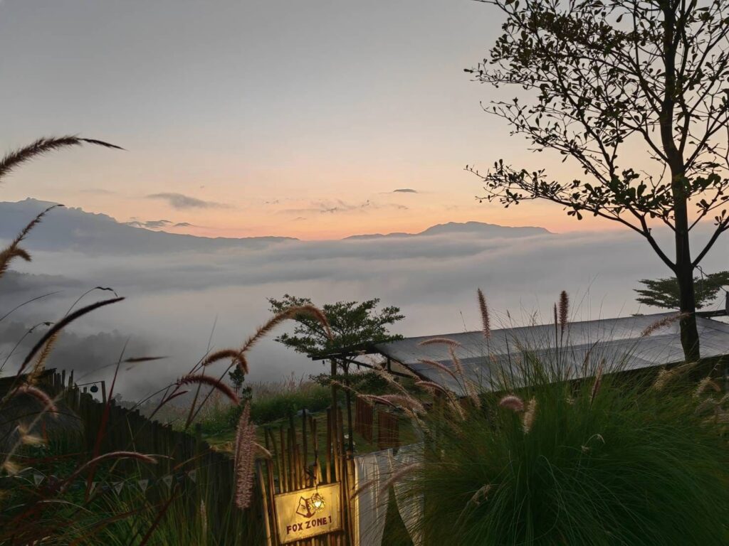 454658432 461733730069416 3815332218622841744 n