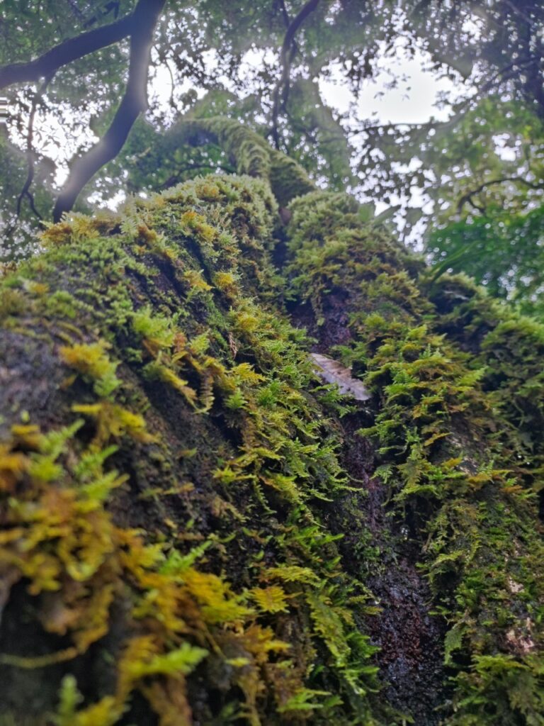 LINE ALBUM ดอยเหลี้ยม 240908 25