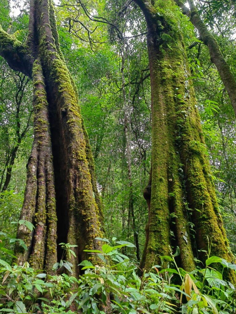 LINE ALBUM ดอยเหลี้ยม 240908 77