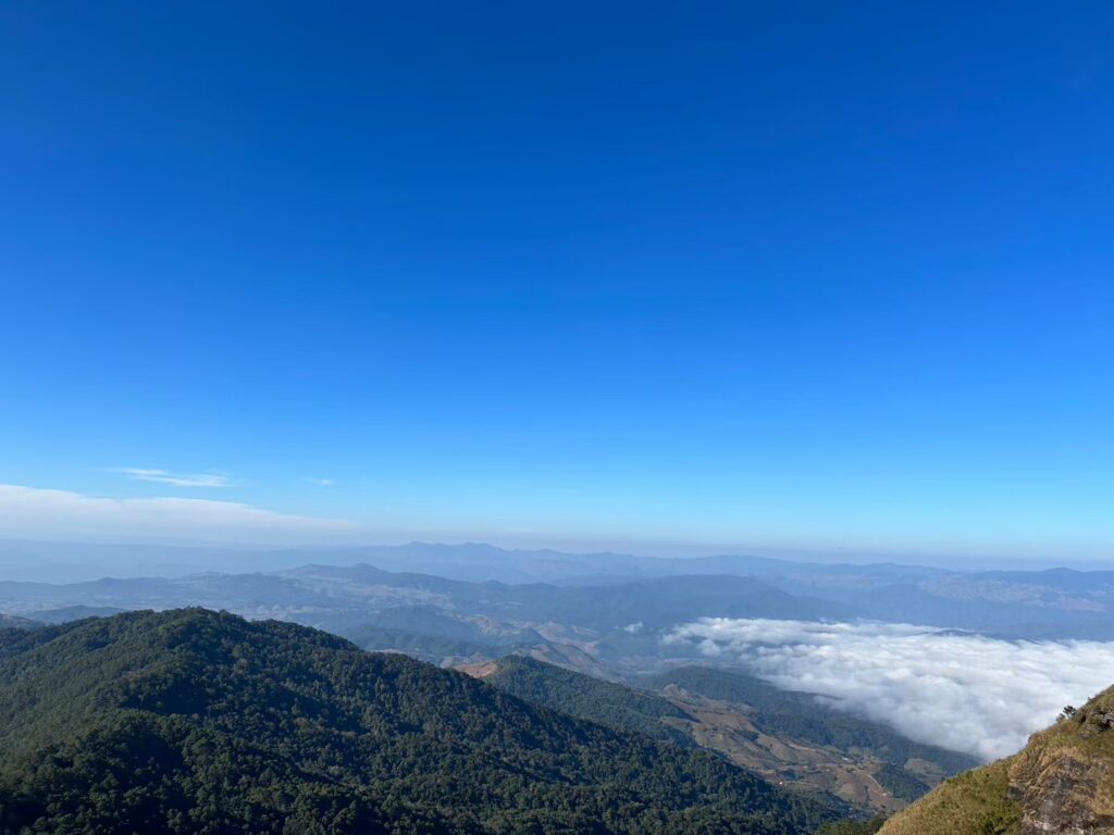 LINE ALBUM สำรวจกล้องตามหลังพี่เฟริน 240826 123