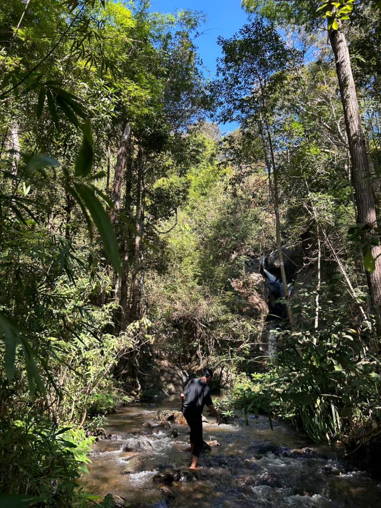 LINE ALBUM สำรวจกล้องตามหลังพี่เฟริน 240826 163