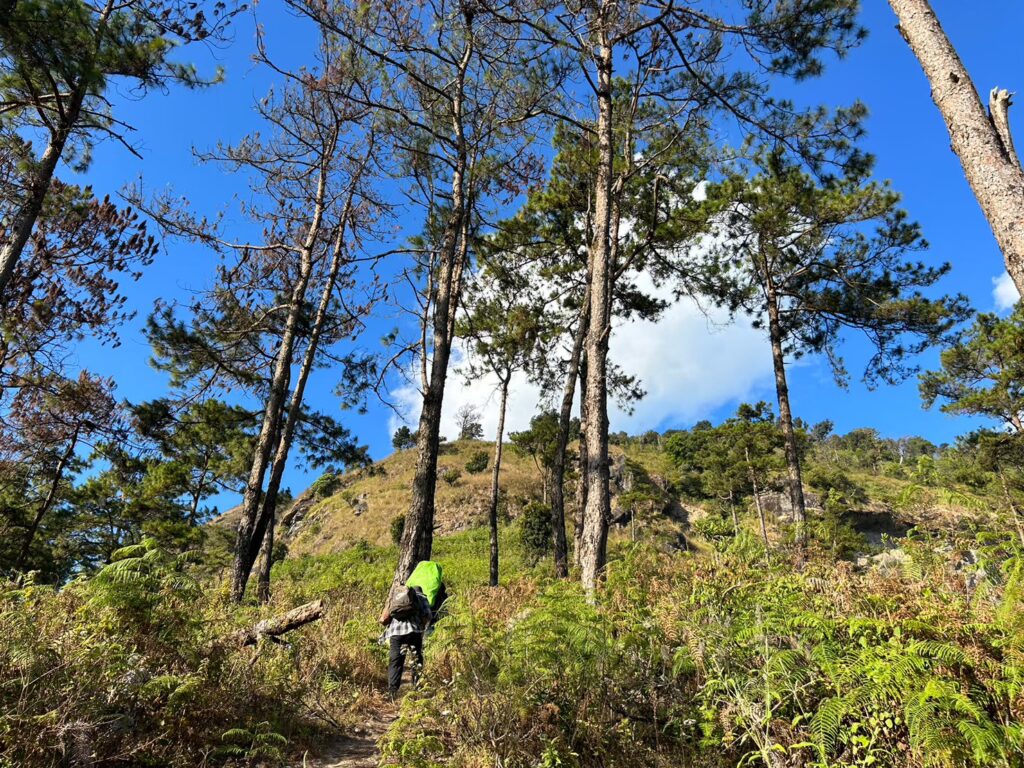 LINE ALBUM สำรวจกล้องตามหลังพี่เฟริน 240826 7