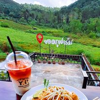 Y. P. Farm stay เกษตรยอดภู ฟาร์ม 3 429807948 925980856193841 8538978911080334740 n
