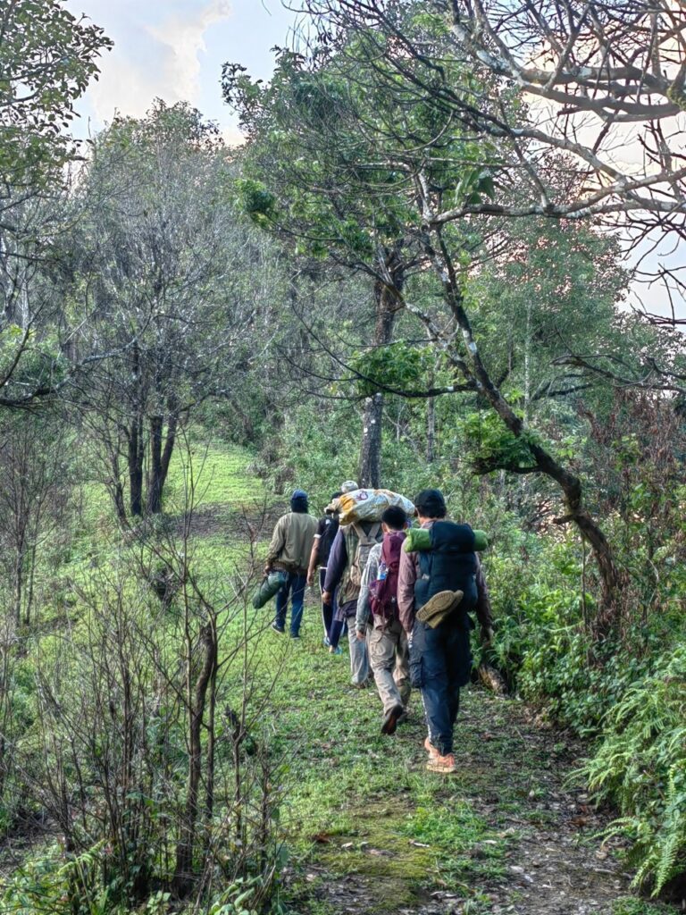 LINE ALBUM ดอยพะติโด่ 241010 24