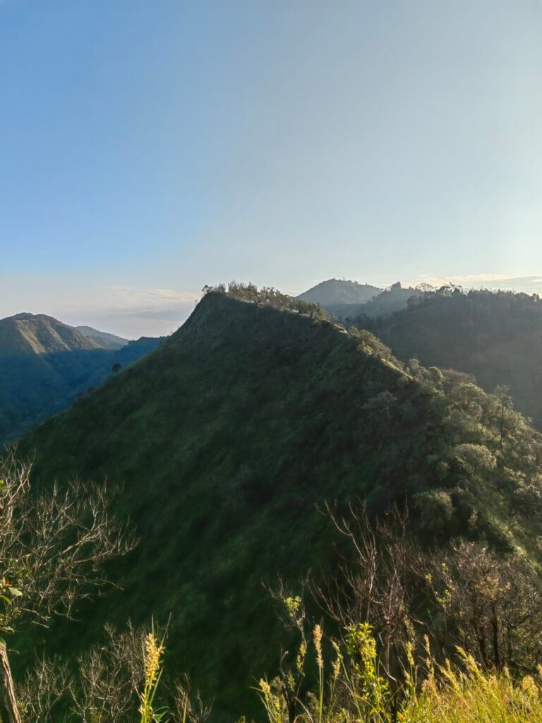 LINE ALBUM ดอยพะติโด่ 241010 262