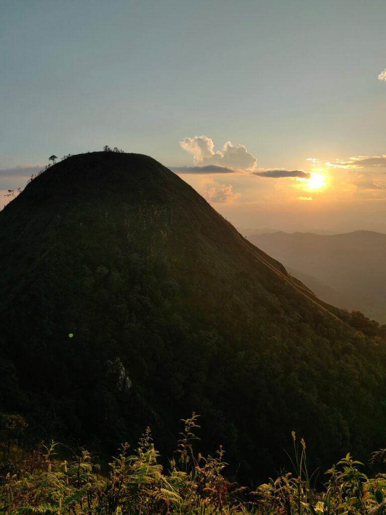 LINE ALBUM ดอยพะติโด่ 241010 83