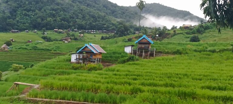 ที่พักแม่แจ่ม โรงแรม รีสอร์ท โฮมสเตย์ 136 19303 0