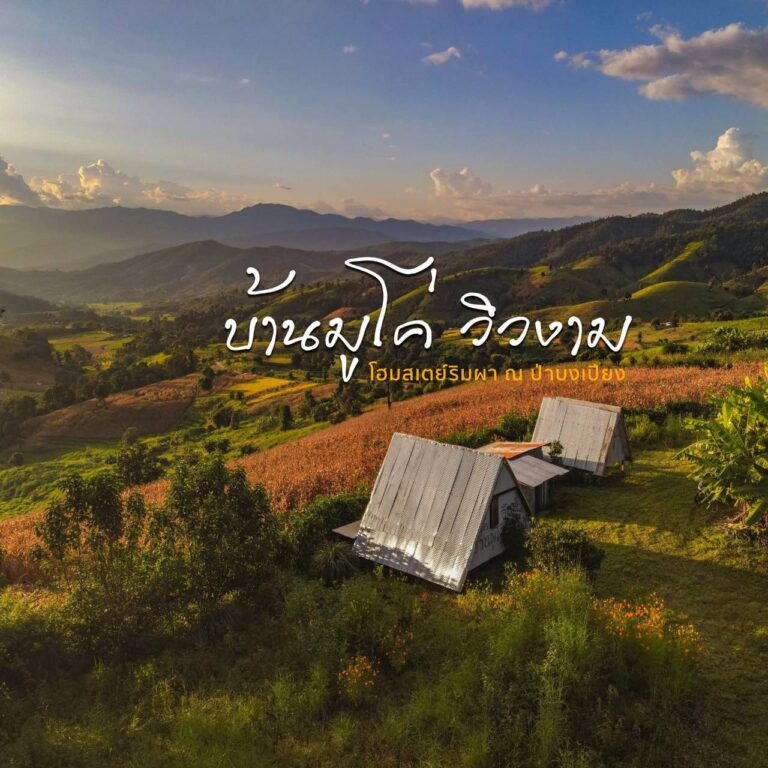 ที่พักแม่แจ่ม โรงแรม รีสอร์ท โฮมสเตย์ 133 19756 0