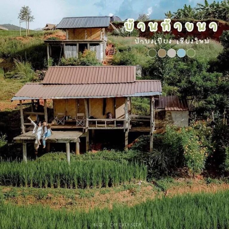 ที่พักแม่แจ่ม โรงแรม รีสอร์ท โฮมสเตย์ 132 19770 0