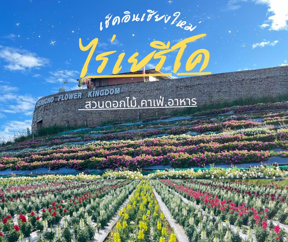 483809158 660351609836365 3810196713340548841 n