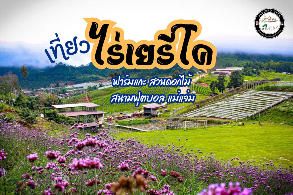 484844044 660347063170153 8574545280123733789 n