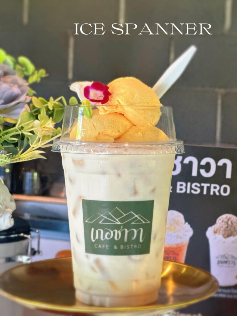 499768981 122118894854825883 295973851259864234 n