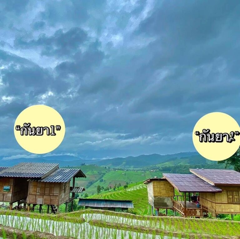 ที่พักแม่แจ่ม โรงแรม รีสอร์ท โฮมสเตย์ 131 22685 0